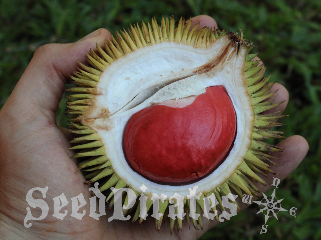 B6523D7F-C6D9-45E9-8A0C-4C2027671805