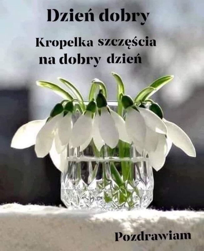 8f901b7c3e6774dfde527fcd1c46274b