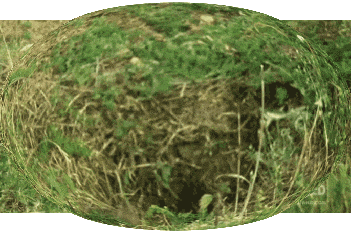 GIF-20250807-230150-067.gif
