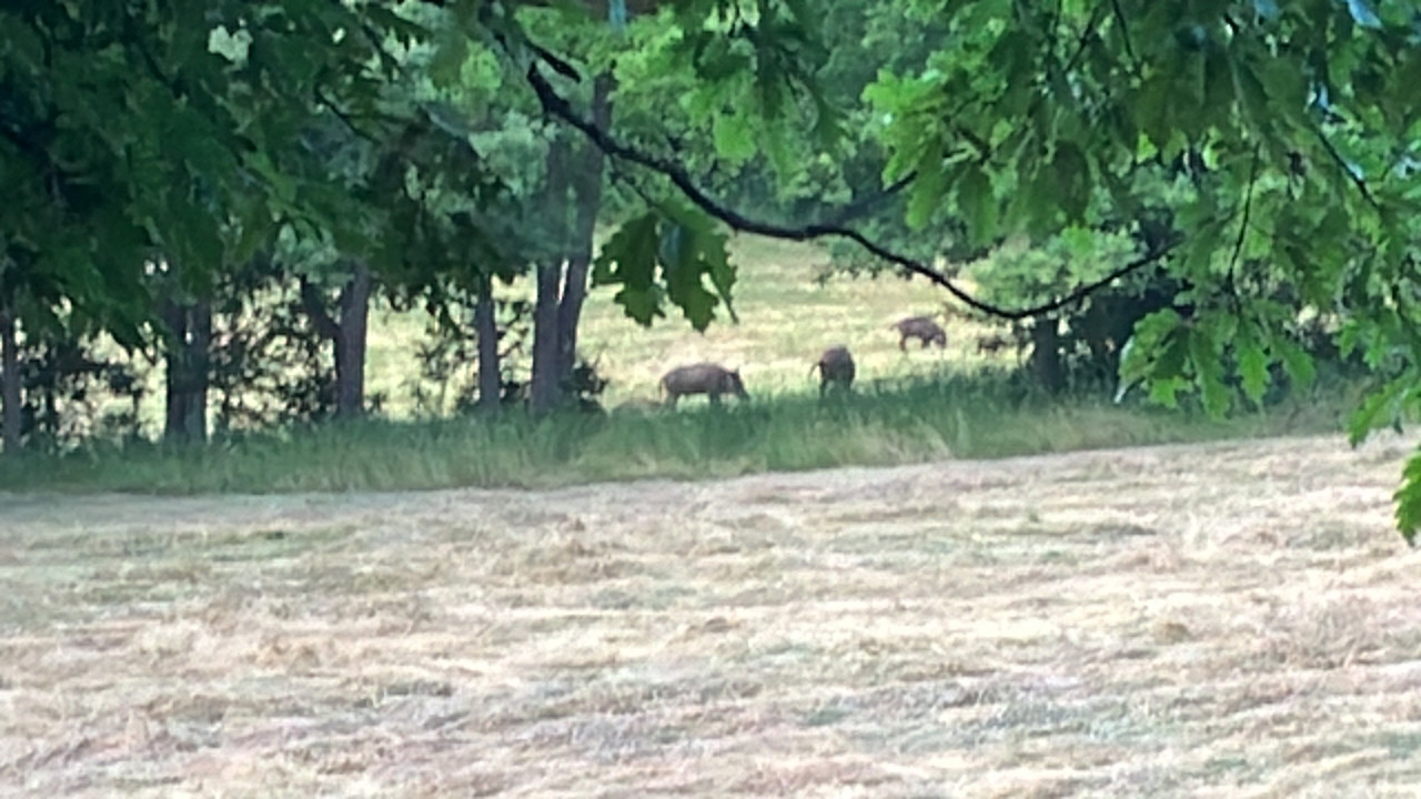 50C5C3FD-5BE5-47A1-827A-538D087165CC