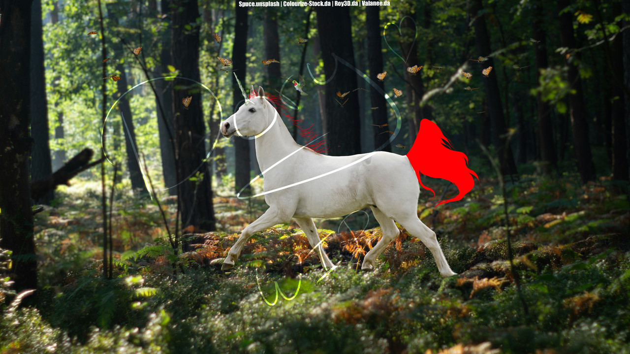 spruce-m-KWmpi-X5zzo-unsplash-copy.jpg
