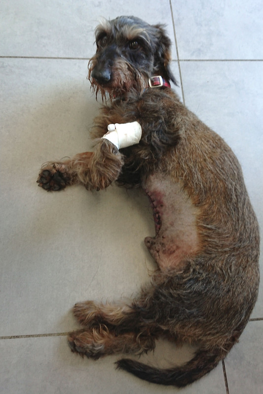 [Image: DSC-3745.jpg]