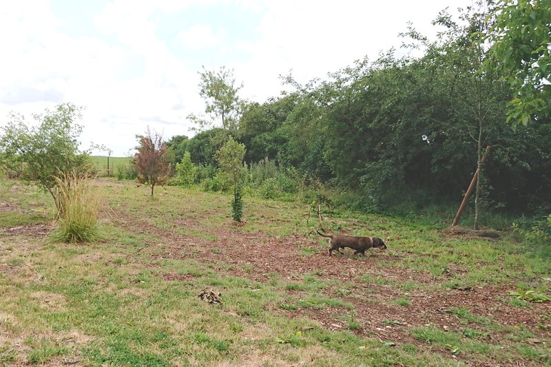 [Image: DSC-3970.jpg]