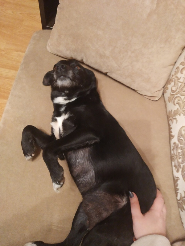 068FC8B9-B9A1-4B71-9527-85DAE88381D3