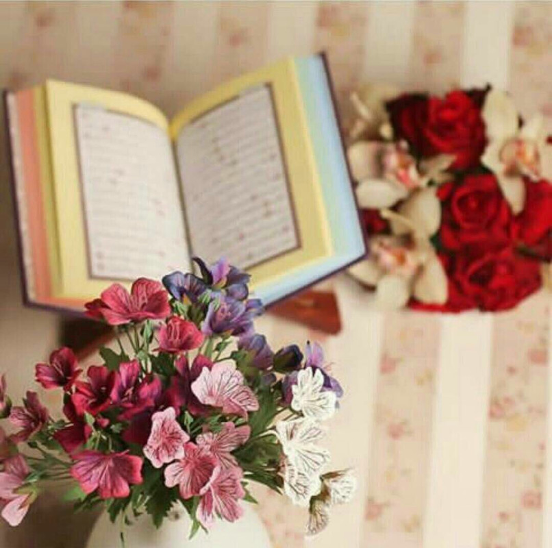 C7C5D59C-0467-40D6-941B-826422AD084E