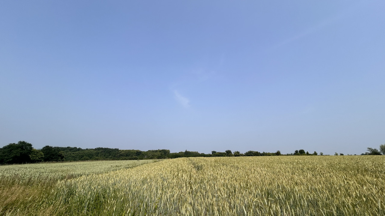 IMG-1383.jpg