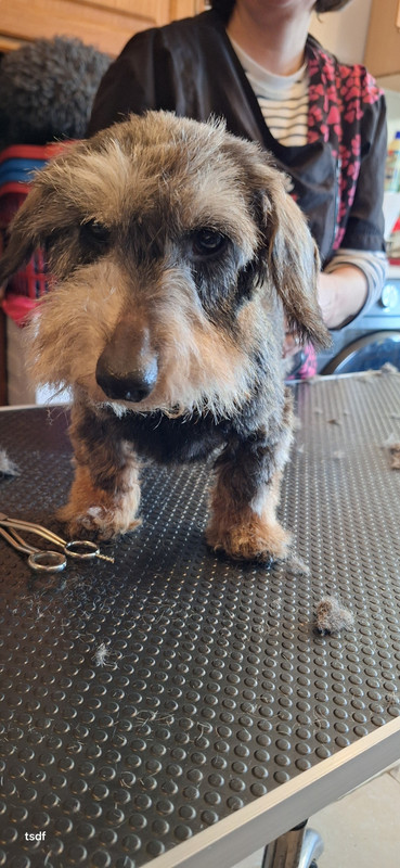 [Image: 20250213-144446.jpg]