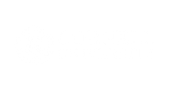 Logo 9