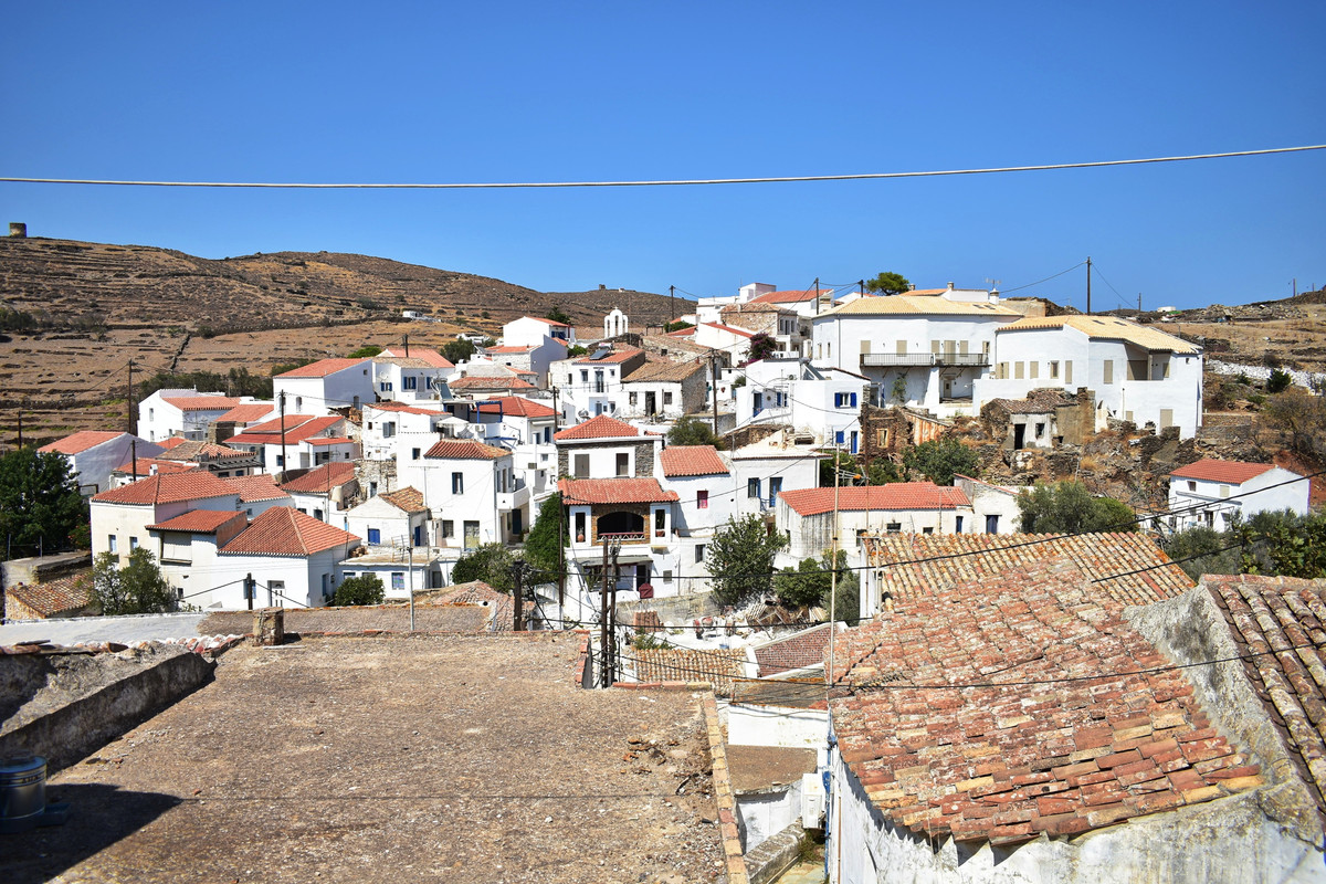 Δρυοπίδα (21)