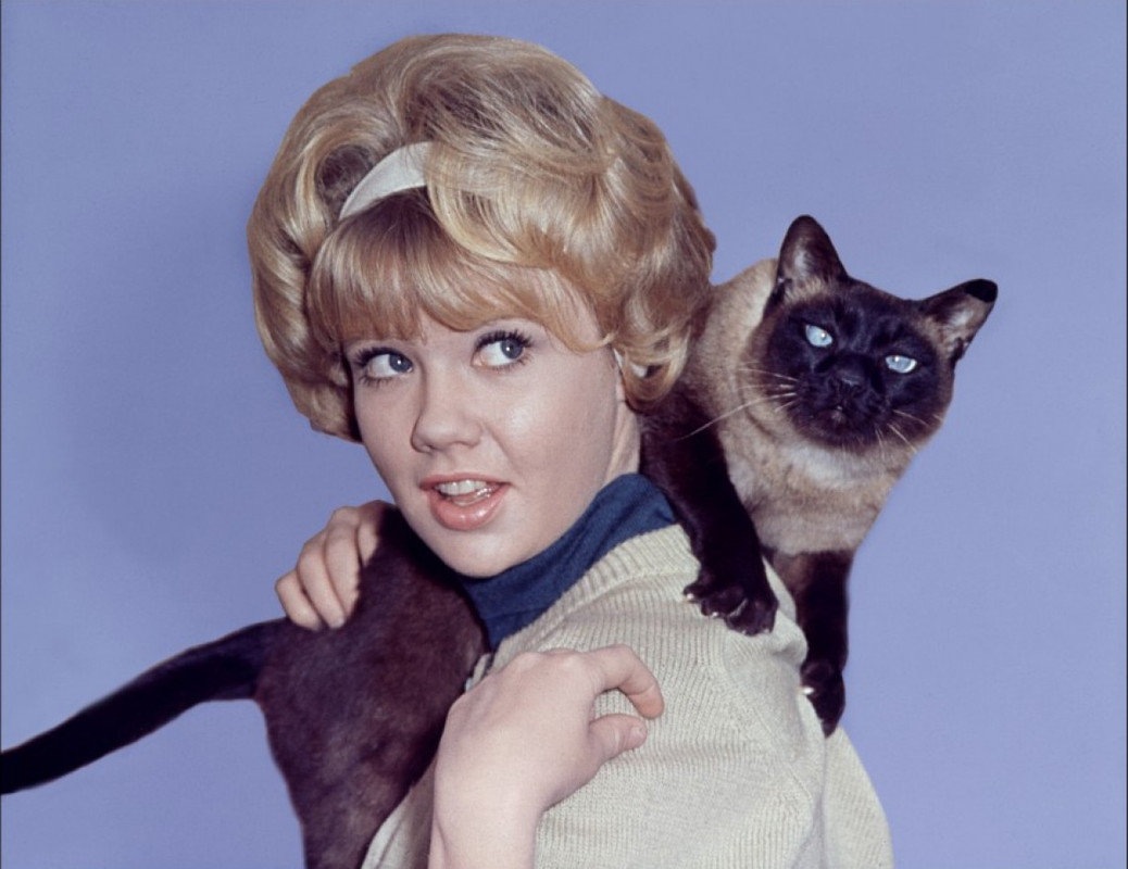 Hayley_Mills_53