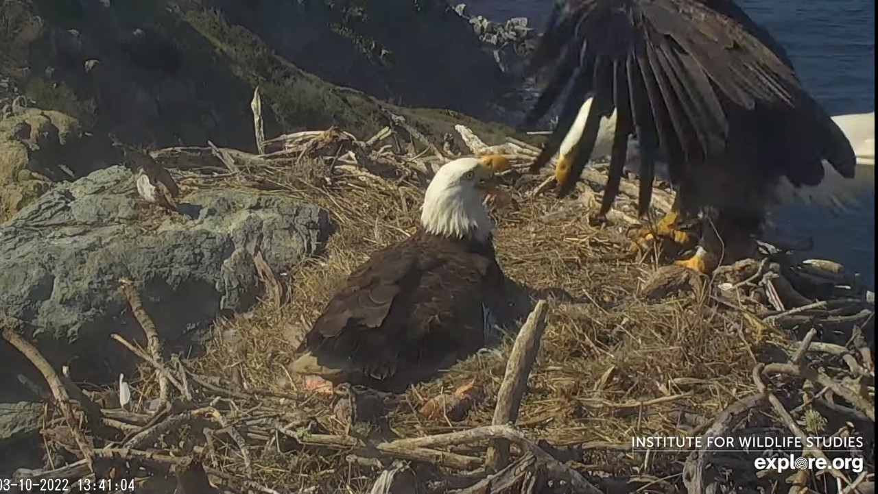 171944F0-2087-4301-8EC1-C4BC47FB8FDF