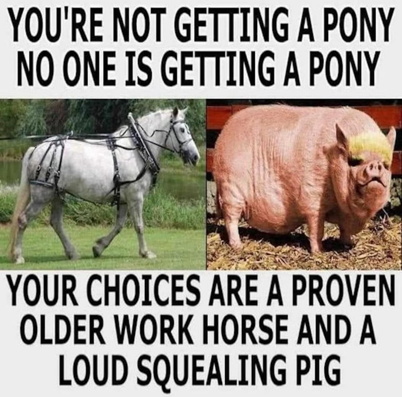 Choice is older workhours or a pig