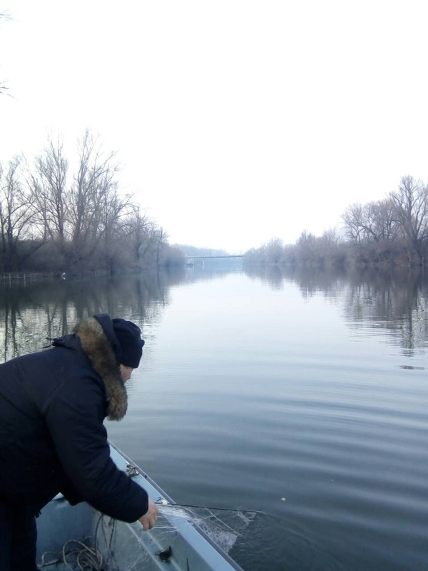 beočin 2018 (5)