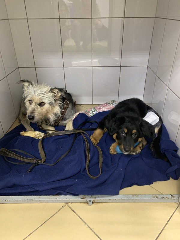 9EB7EC1B-70A7-417C-A684-848D9D6D9335