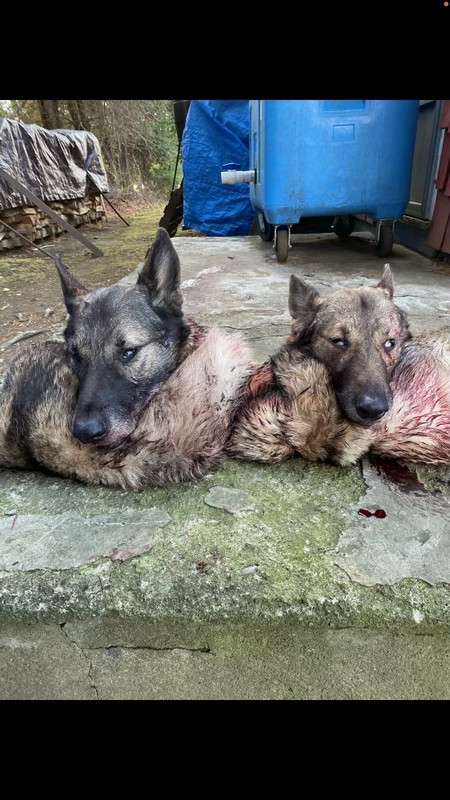 BCD1F694-33F6-4F99-8BB8-74CA5F6F98EC