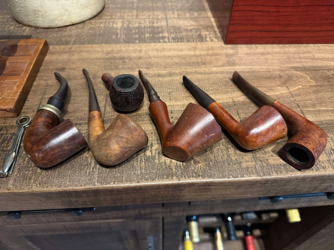 491023615_1181761213644680_2678395290699651706_n