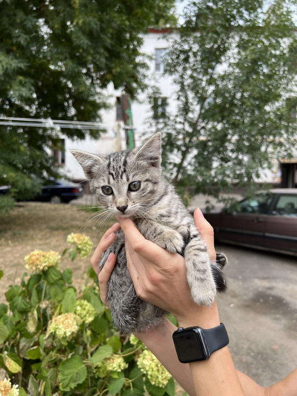 C1631CCC-3286-4C42-89A4-C7FEDEED1825