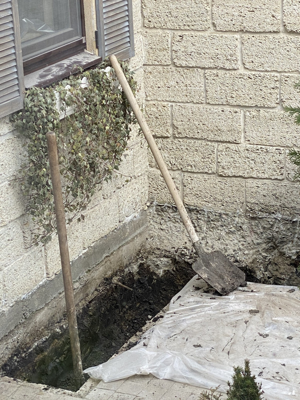 766A6CD8-EB98-44EC-B4DF-A1E151ED585D