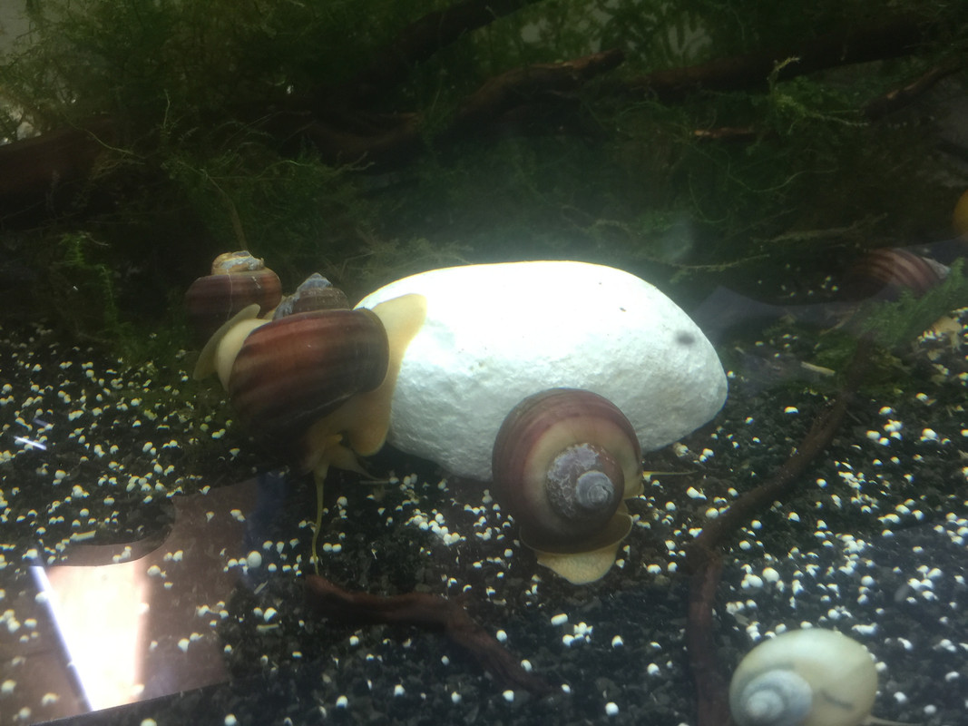 A746F524-DFD9-46F3-95C9-36FF1B3E0FB1