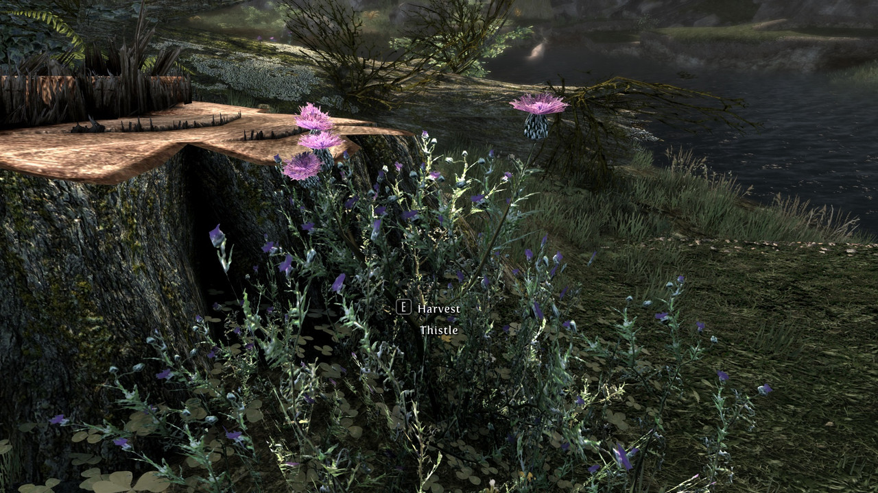 The-Elder-Scrolls-V-Skyrim-Special-Editi