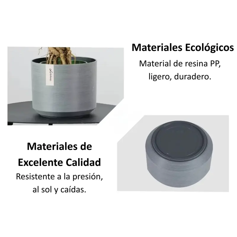 Caracterisiticas