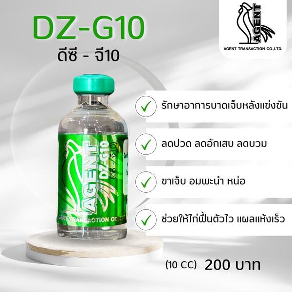 DZ-G10