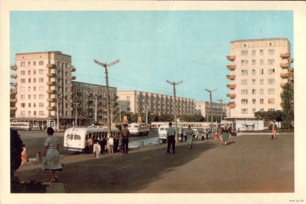 цвет киев авто (6)