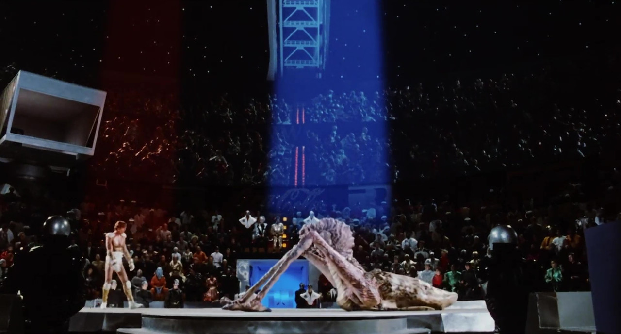 vlcsnap 2026 03 17 21h24m51s559