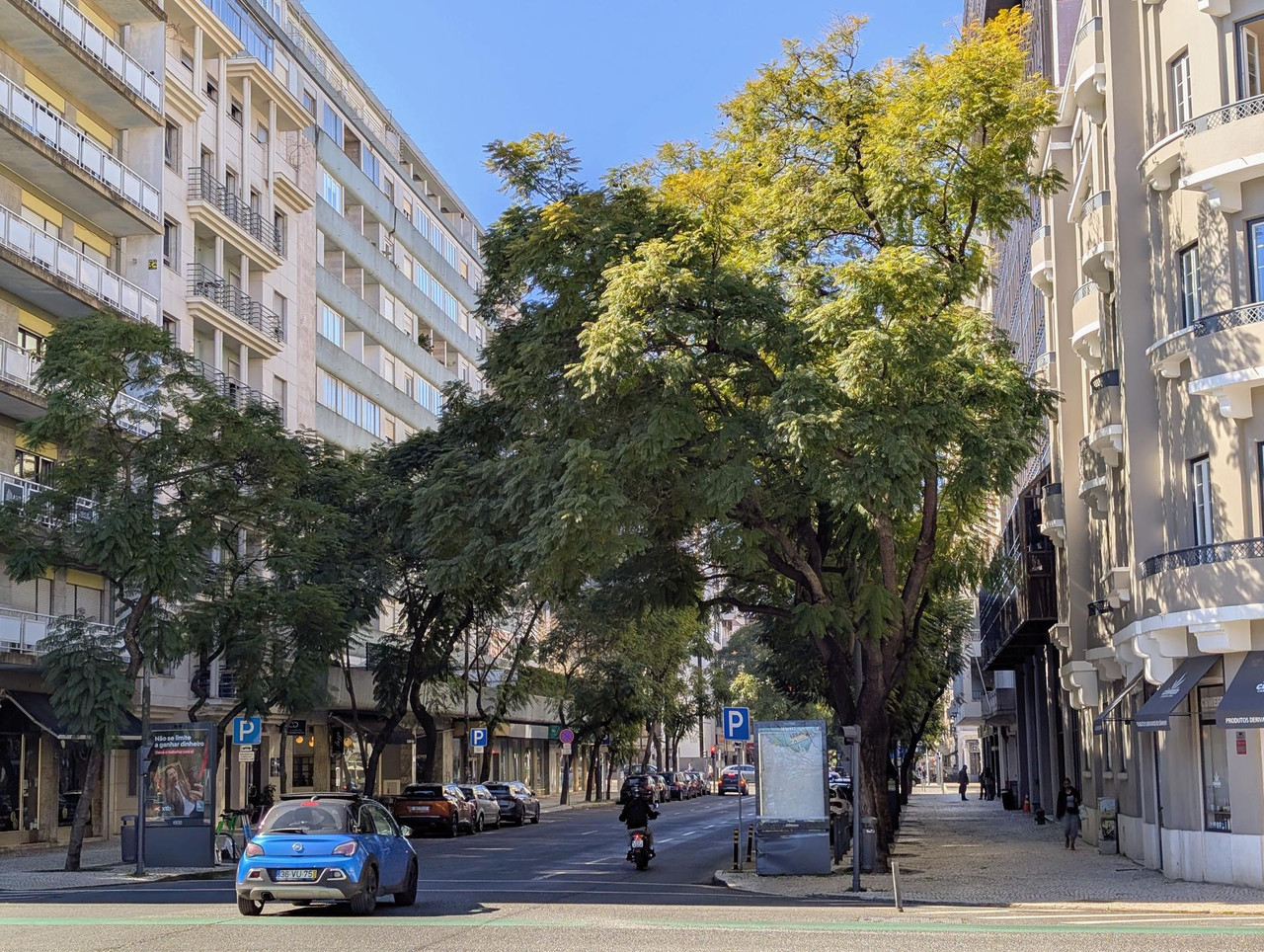 PXL 20260222 121544526 2