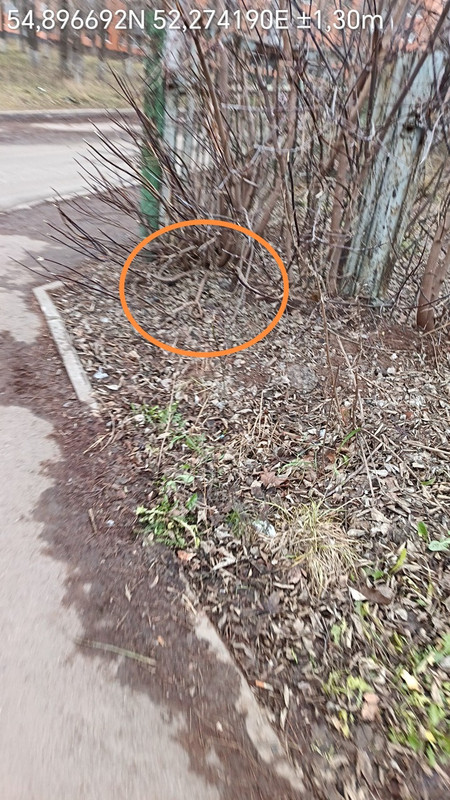 Time Photo 20251205 112847 edit 57416897588267