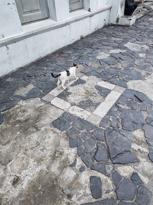 图片 20251230100517 577 6