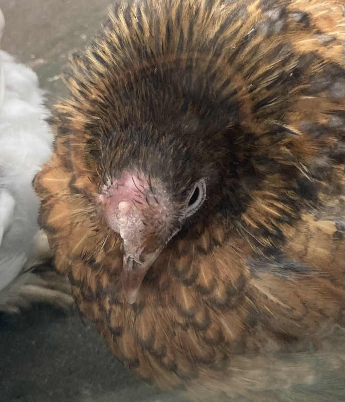 1494EFD8-B13A-4FB8-8F6D-A1E9AF7CDC85