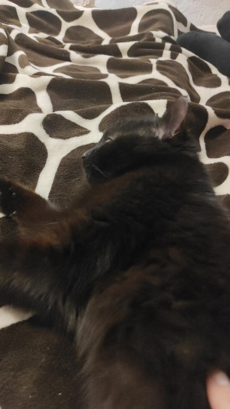 BA4A7BE8-A150-42B8-9F11-3F293CC34CCD