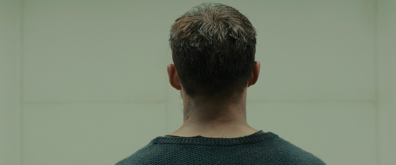 Blade Runner 2049 (2017).mkv_snapshot_00.14.29_[2018.01.23_00.13
