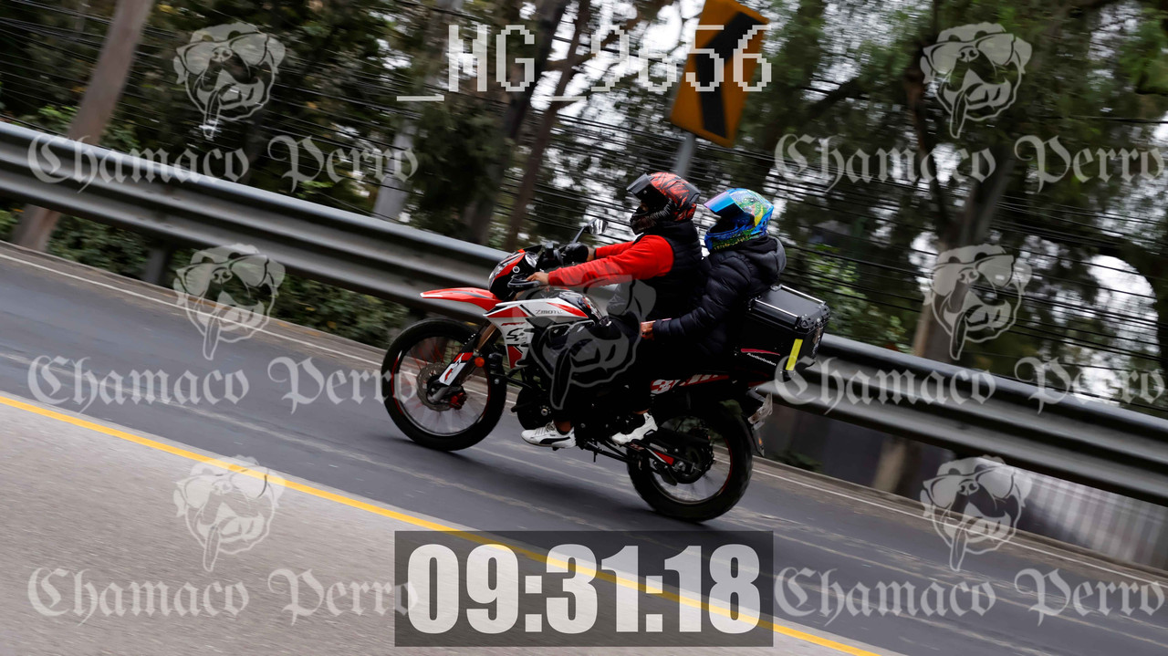 MUESTRA MG 9656 — Postimages