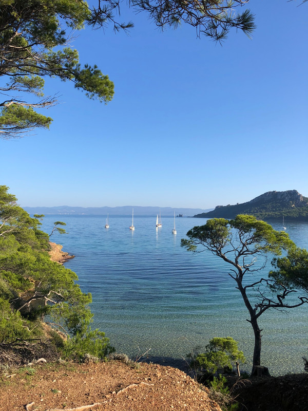 A8D1F4AD-6B1F-4B09-B234-7AE5D617BFA5