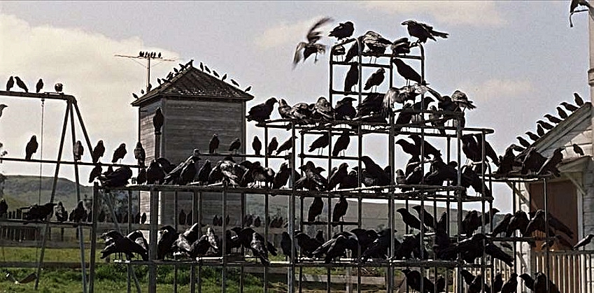 THE-BIRDS-1-FOTOR-2.jpg