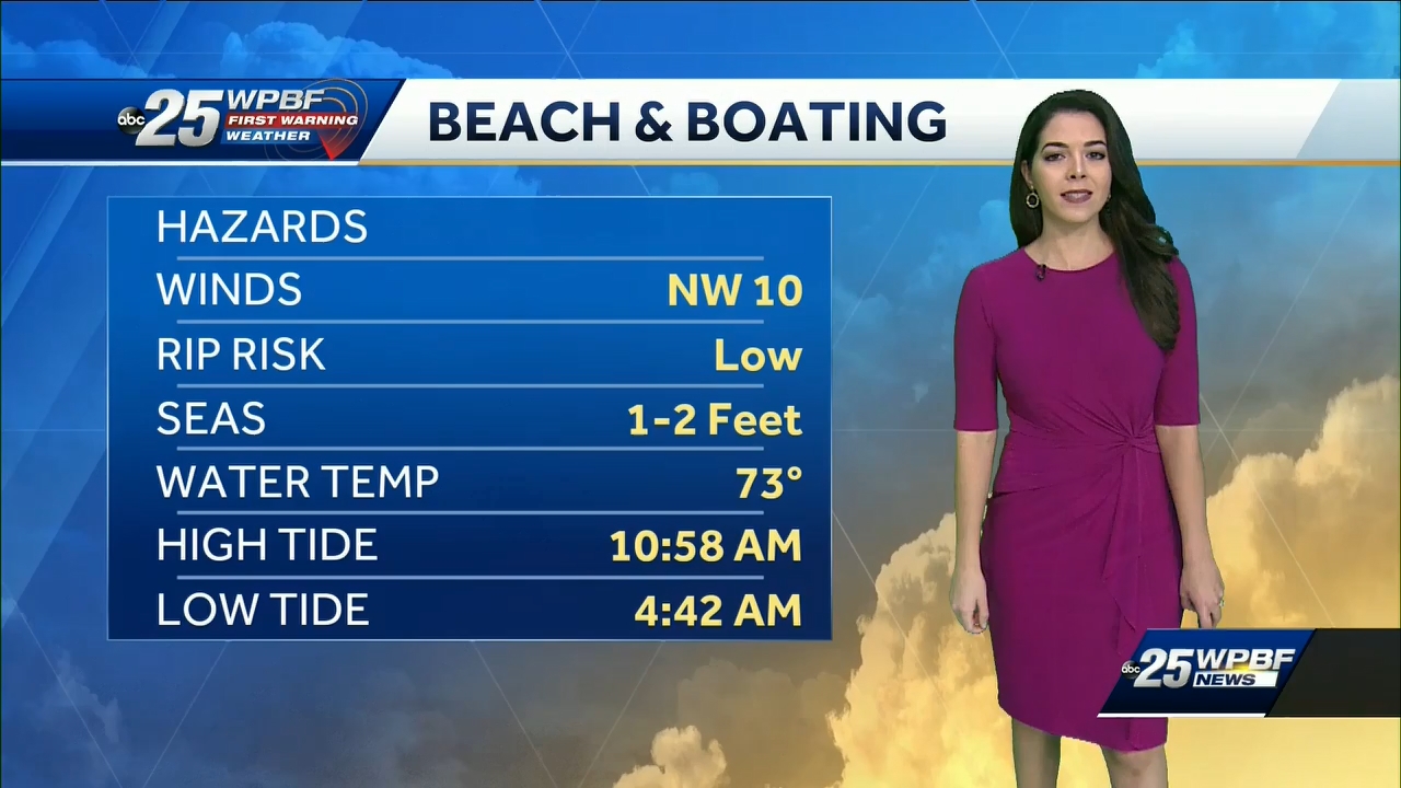 01.17 - 04.00.00 - WPBF 25 News..ts_snapshot_13.24.811