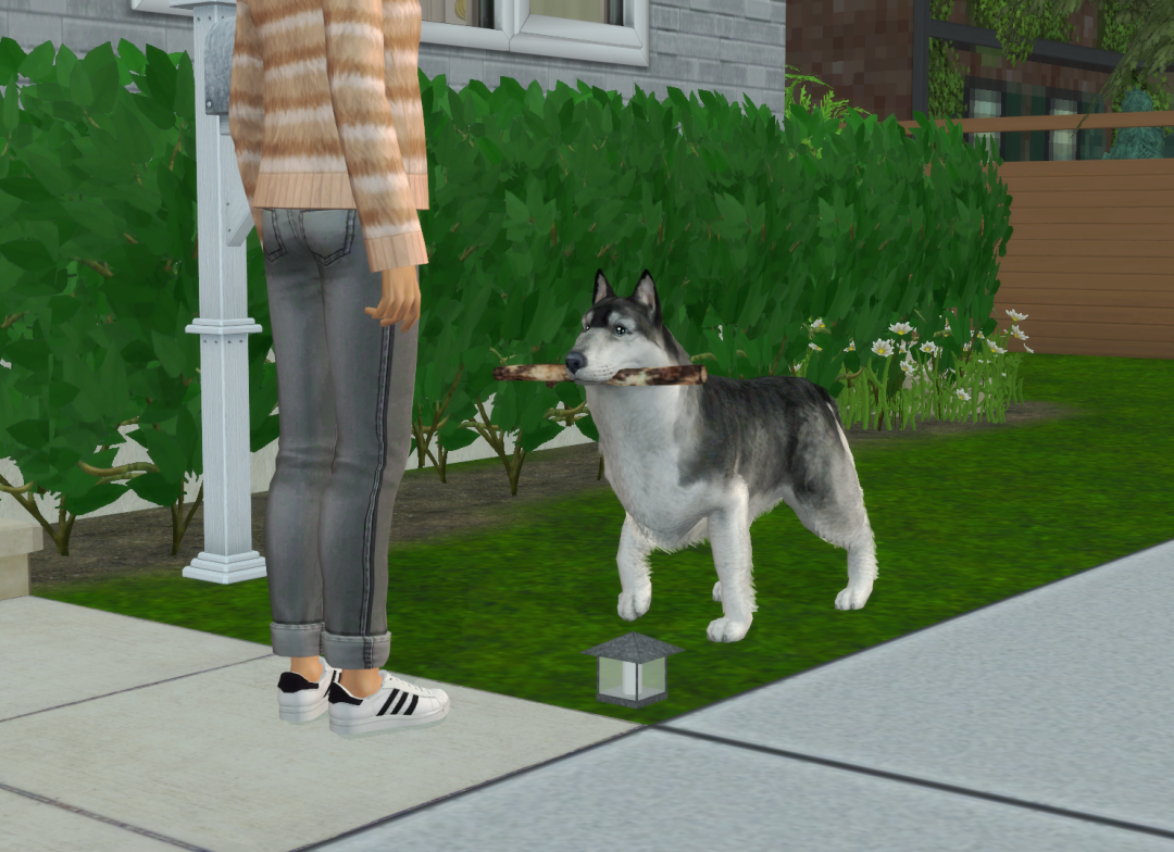 Sims2-EP9-RPC-2024-10-07-20-11-08-22