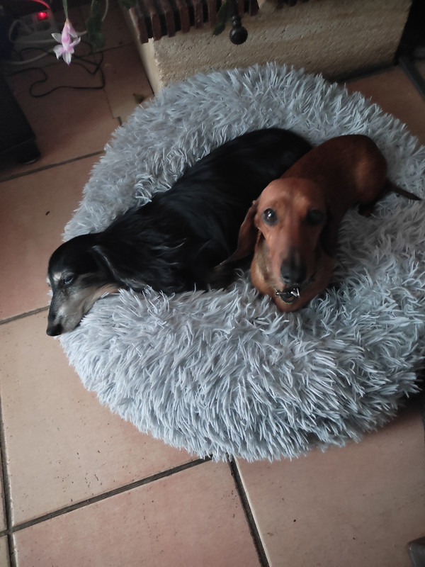 [Image: IMG-20231210-153650.jpg]