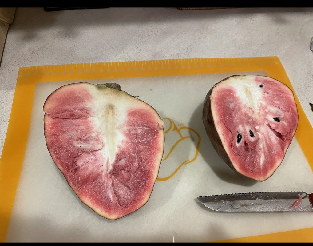 68B55BE6-1020-485B-B293-7C870E75F3CC