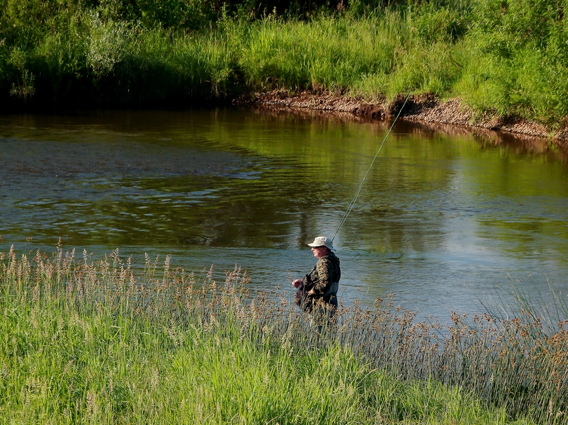 IMG_5711 (Копировать)