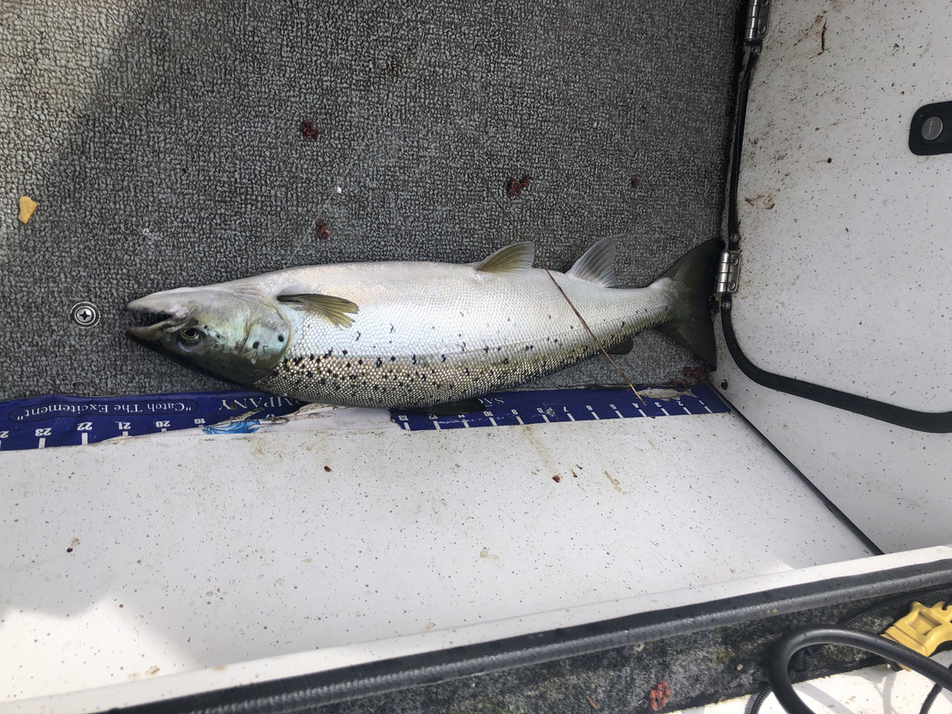 4EE83060-D0C3-4B9C-8B38-D6A3FD4119AA