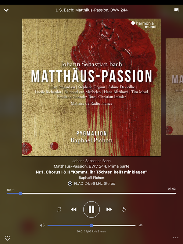 CAE1-B20-B-C9-D8-459-B-85-E5-6-FC21-E24-