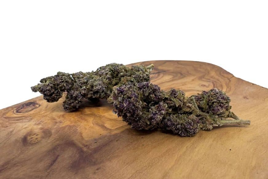 Purple Kush strain flower