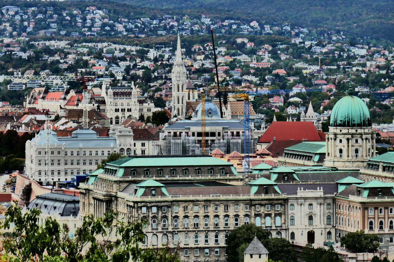 P1380002.jpg