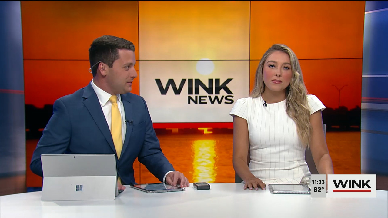 04.02 - 16.30.00 - WINK NEWS at 11 30am  ᴺᵉʷ. Midday news..ts_snapshot_09.26.681