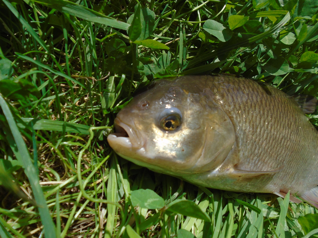 DSC00407