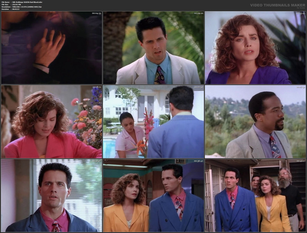 Silk Stalkings S02E06 Bad Blood.mkv