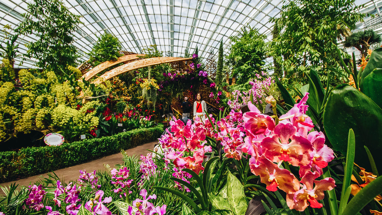 Gardens by the Bay Flower Dome